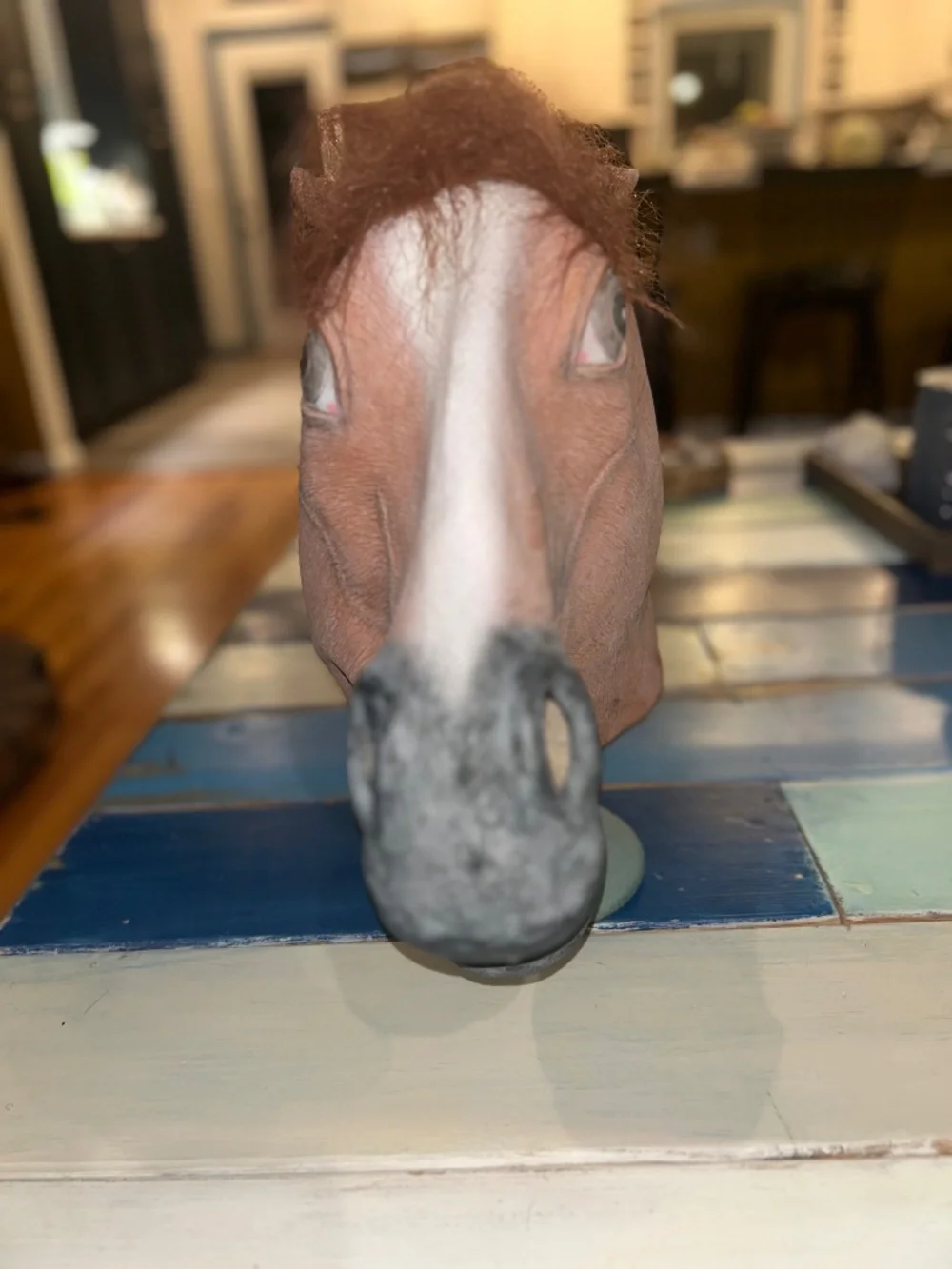 Novelty Horse Mask/Costume